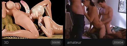 Deux cartes de catégories de thisvid.com : 3D et amateur, avec leur compteur